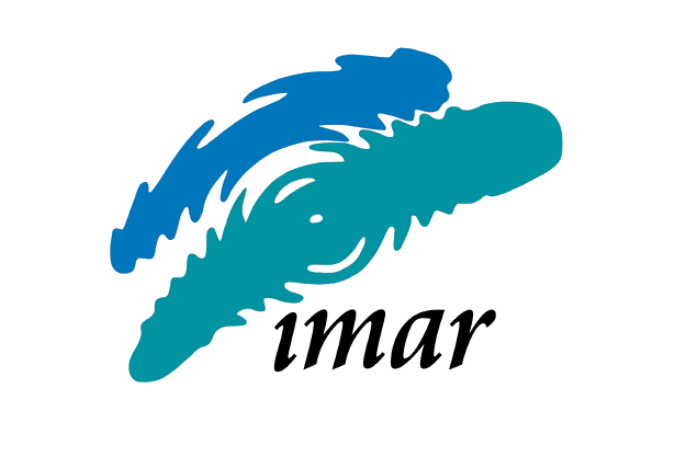 Instituto Do Mar  Logo