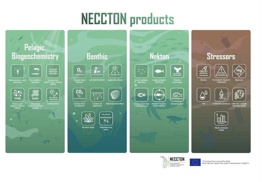 NECCTON brochure front cover
